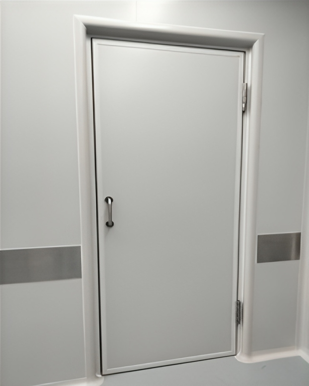 Sandwich Panel Door 2